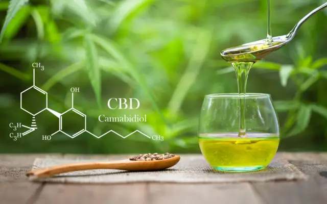 Intégrer le CBD dans sa cuisine : les secrets des grands chefs