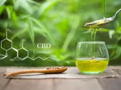 Intégrer le CBD dans sa cuisine : les secrets des grands chefs