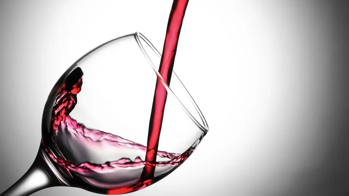 Découvrir l'œnologie : les premiers pas pour apprécier le vin - article FoodyParis