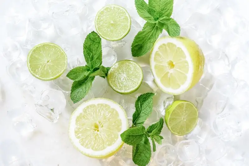 Le citron et la citronnade vous aide à maigrir on vous explique tout - article FoodyParis