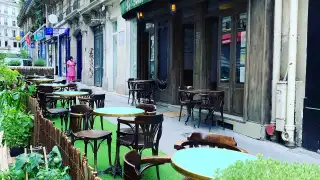 Restaurant Le Petit Littre