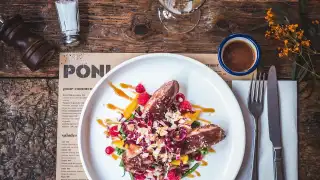 Restaurant Poni