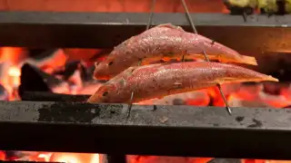 Restaurant Freddy s