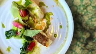 Agastache Restaurant – photo 2