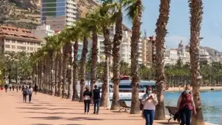 Alicante el Bario – photo 2