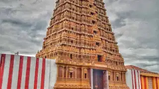 Aux Delices de Jaffna – photo 2