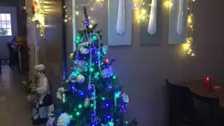 Bar Restaurant Flora – photo 3