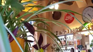 Brasserie du Square – photo 1
