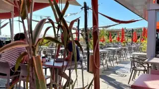 Canopee Cafe – photo 2