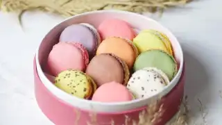Chocolaterie Les Origines Le Lautrec – photo 2