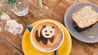 Coffee SPOUNE – photo 3