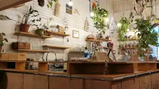 Restaurant Coogee