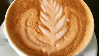 DOSE - Coffee Dealer • MOUFFETARD – photo 4