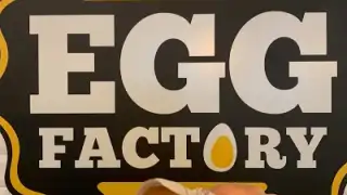 Egg Factory – photo 2