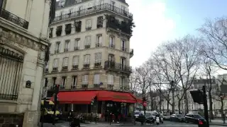 Grive – photo 4