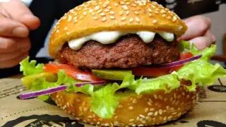 Hank Burger Lyon Opera – photo 3