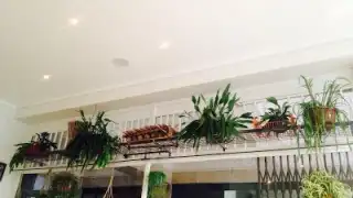 Restaurant Jah Jah By Le Tricycle