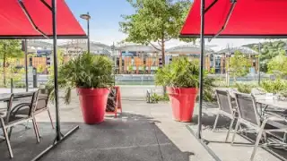Jungle Cafe, restaurant à Lyon