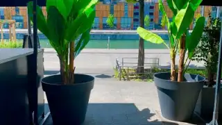 Jungle Cafe – photo 3
