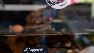 L appart des Coiffeurs – photo 4