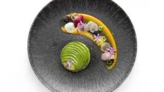 La Bauhinia – photo 2