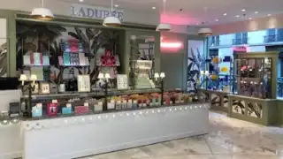 Laduree, restaurant à Paris