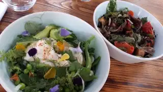 Le Bistrot du Potager #2 – photo 1