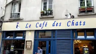 Le Cafe des Chats - Bastille – photo 3