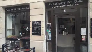Le Comptoir des Chats – photo 4
