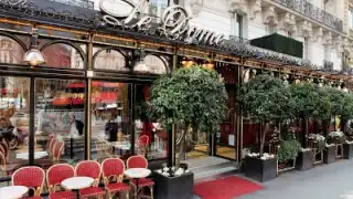 Le Dome - Montparnasse – photo 1