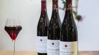 Le Vin des Possibles – photo 4