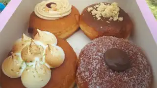 Little Doughnut – photo 4