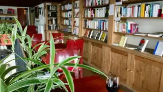 Restaurant Macanudo