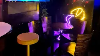 Miami Bar – photo 2