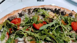 Milo – photo 3