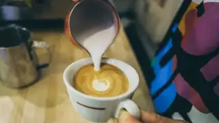 Musette Bicycles and Coffee – photo 4