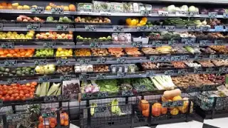 My Bio Delicious – photo 2