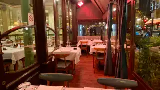 Phebe – photo 3