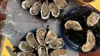 Pleine Mer – photo 2