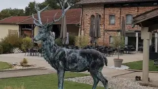 Restaurant la Sorelle – photo 3