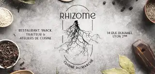Rhizome – photo 2