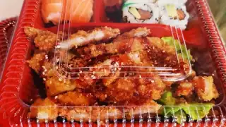 Sakana – photo 3