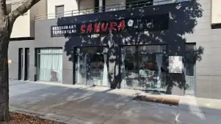 Sakura – photo 1