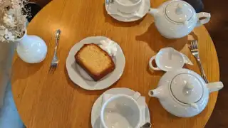 T Cup – photo 4