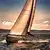 Le Jeroboam – photo 4