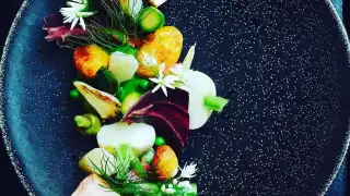 Neva Cuisine – photo 2