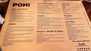 Poni – photo 4