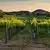 Ratn – photo 3