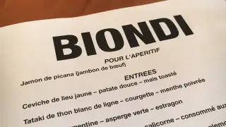 Biondi – photo 3
