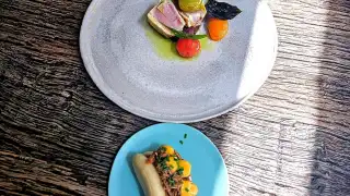 ASPIC – photo 2